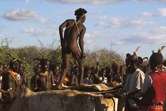 ETHIOPIA, Lower Omo Valley, Tumi, "Hama Jumping of the Bulls initiation ceremony, the naked