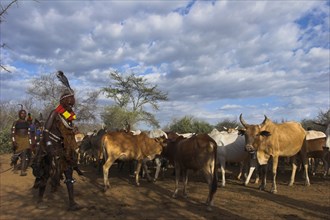 ETHIOPIA, Lower Omo Valley, Turmi, Hama Jumping of the Bulls initiation ceremony