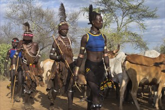 ETHIOPIA, Lower Omo Valley, Turmi, "Hama Jumping of the Bulls initiation ceremony, Ritual dancing