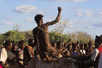 ETHIOPIA, Lower Omo Valley, Tumi, "Hama Jumping of the Bulls initiation ceremony, the naked