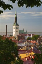 ESTONIA, Tallinn, View of St Olav's Church from the Upper Town.