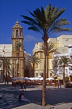 SPAIN, Andalucia, Cadiz, Plaza de la Catedral.