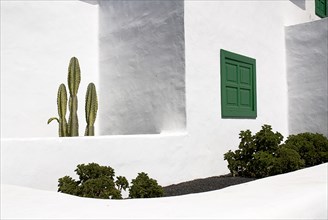 SPAIN, Canary  Islands, Lanzarote, La Casa Museo a La Campesino or the Farmhouse Museum.  Cactus