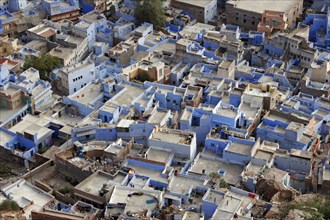 INDIA, Rajasthan, Jodhpur, "Aerial view over flat rooftops of the blue painted houses of the