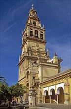 SPAIN, Andalucia, Cordoba, La Mezquita Cathedral.