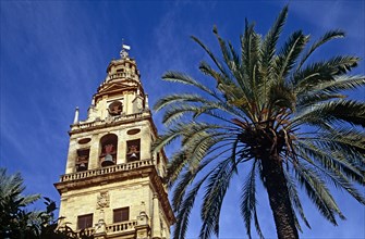 SPAIN, Andalucia, Cordoba, La Mezquita Cathedral. Bell tower and palm tree.