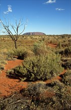 AUSTRALIA, Northern Territory, Uluru, "Kata Tjuta National Park, Mount Uluru, Ayers Rock."