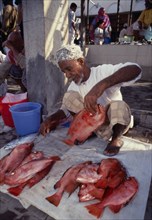 UAE, Oman, Muscat, Male vendor in fish market laying fish out on sacking in front of him.