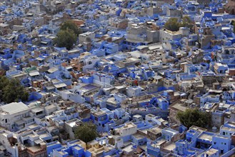 INDIA, Rajasthan, Jodhpur, Elevated view across flat rooftops of blue painted houses of the Brahmin