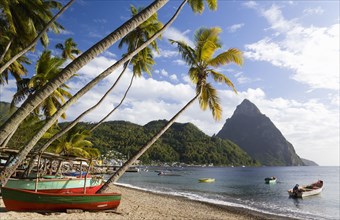 WEST INDIES, St Lucia, Soufriere, Fishing boats on the beach lined with coconut palm trees with the