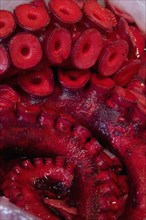 JAPAN, Honshu, Tokyo, Tsukiji fish market.  Close cropped view of red octopus for sale at market
