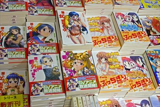 JAPAN, Honshu, Tokyo, Akihabara Electronics District.  Japanese Manga books with brightly
