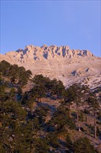 GREECE, Macedonia, Pieria, View of eroded pinnacles of highest peak of Mount Olympus called Mytikas