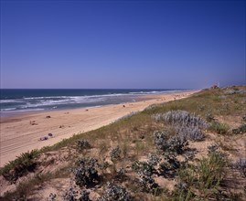FRANCE, Aquitaine, Landes, Cap de l’Homy Plage.  View north along beach and sand dunes with people