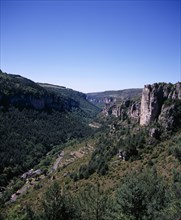 FRANCE, Languedoc-Roussillon, Lozere, "View west along Gorge de la Jonte west of Meyrueis town.