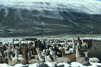 BOLIVIA, Collpa Huata, Family of llama herders next to river with green snow covered mountains