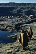 BOLIVIA, Collpa Huata, Llama and Alpaca herders walking on grass next to water wearing poncho’s and