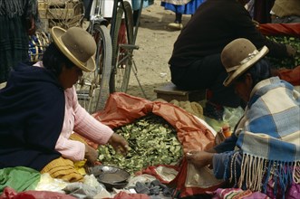 BOLIVIA, Pocata, Coca leaves being sold at market