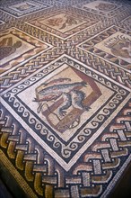 ITALY, Lazio, Rome, Vatican City Museums Detail of a Roman mosaic on the floor of the Room of