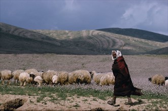 ISRAEL, Agriculture, Shepherd with his flock of sheep
