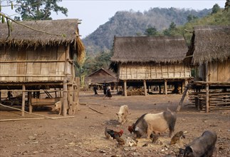 LAOS, Tribal People, Meo Tribe, Meo village with children playing between thatched roof homes built