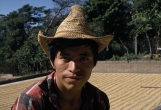 GUATEMALA, Chimaltenango, Acatenango , Quiche Indian labourer on coffee finca near Acatenango