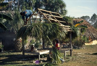 USA, Florida, Everglades, Independent Seminole Native American thatching a Chickee hut using palm