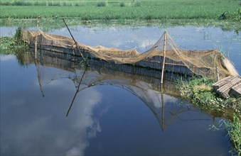 BANGLADESH, Fishing, Fish farming.