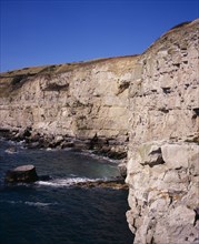 ENGLAND, Dorset, Jurassic Coastline, Close view of Limestone cliffs west of Seacombe Quarry