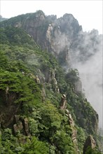CHINA, Anhui Province, Huang Shan , Huangshan or the Yellow Mountain. Rock peaks with lush green
