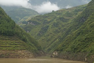 CHINA, Hubei , Three Gorges, Terraced hillsides in the Wu Gorge