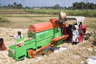 INDIA, Tamil Nadu, Agriculture, Farm labourers processing corn cobs on a type of threshing machine