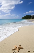 WEST INDIES, St Vincent And The Grenadines, Canouan, South Glossy Beach in Glossy Bay with a