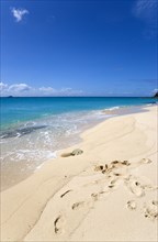 WEST INDIES, St Vincent And The Grenadines, Canouan Island, South Glossy Beach in Glossy Bay with