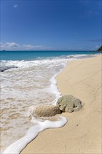 WEST INDIES, St Vincent And The Grenadines, Canouan, South Glossy Beach in Glossy Bay with waves