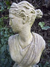 GARDENS, Ornaments, Statue, Bust of Woman against ivy background.