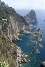 20093662 ITALY Campania Island of Capri Capri Town. View towards Faraglioni Rocks from Augustus Gardens