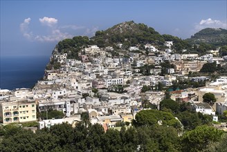 20093663 ITALY Campania Island of Capri A section of Capri Town from hill leading to Punta del Cannone