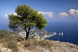 20093668 ITALY Campania Island of Capri Vista from Capris highest mountain Monte Solaro