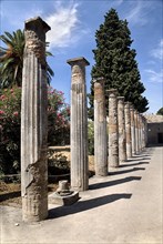 20093677 ITALY Campania Pompeii House of the Faun interior with a row of columns