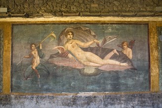 20093691 ITALY Campania Pompeii House of Venus in the Shell