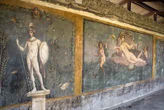 20093692 ITALY Campania Pompeii House of Venus in the Shell