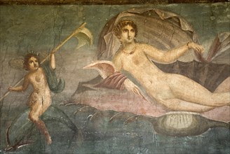 20093693 ITALY Campania Pompeii House of Venus in the Shell