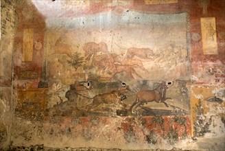 20093698 ITALY Campania Pompeii Main fresco in the House of the Ceii