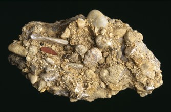 Geology, Rocks, "Conglomerate rock found in Berkshire, England. Sedimentary rocks consisting of