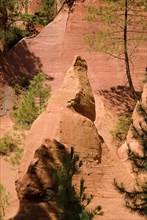 FRANCE, Provence Cote d’Azur, Le Sentier des Ocres (The Ochre Footpath) , Red ochre cliffs and
