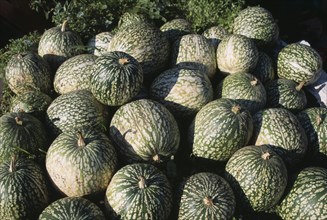 ENGLAND, West Sussex, Slindon, Green Pumpkins on sale for Halloween.