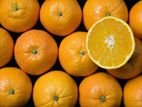 FOOD, Citrus, Fruit, An overhead view down onto a group of oranges with one sliced open on top of