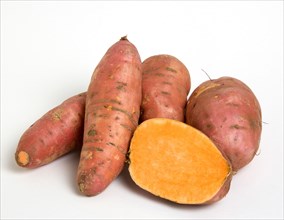 FOOD, Vegetable, Root Vegetable, Group shot of North American sweet potatoes on a white background
