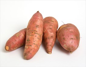 FOOD, Vegetable, Root Vegetable, Group shot of orange North American sweet potatoes on a white